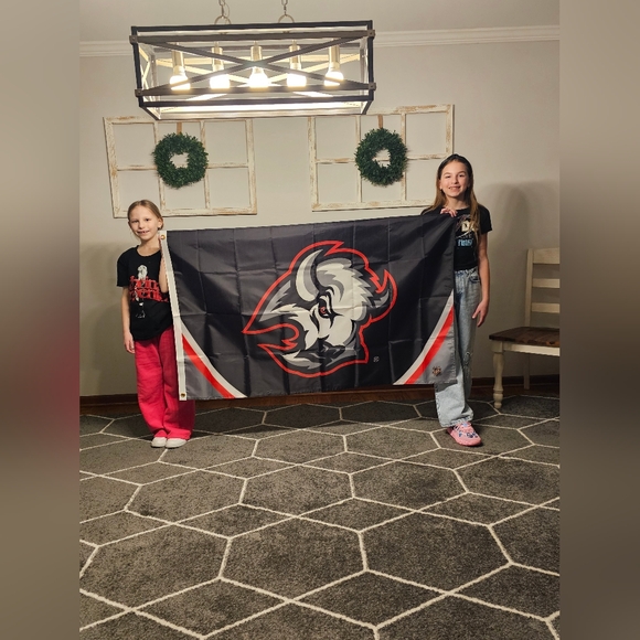 Buffalo Sabres Flag Banner 3x5 New GOAT HEAD - Picture 3 of 3